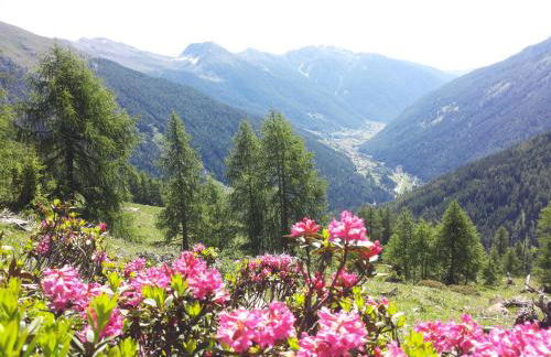 Cevedale-Valdisole - Foto 35