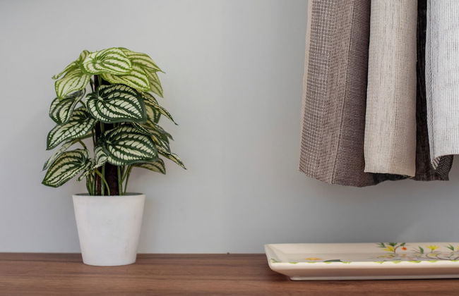 Makris Gialos Lemon Cottage in Lassi Kefalonia - Foto 19