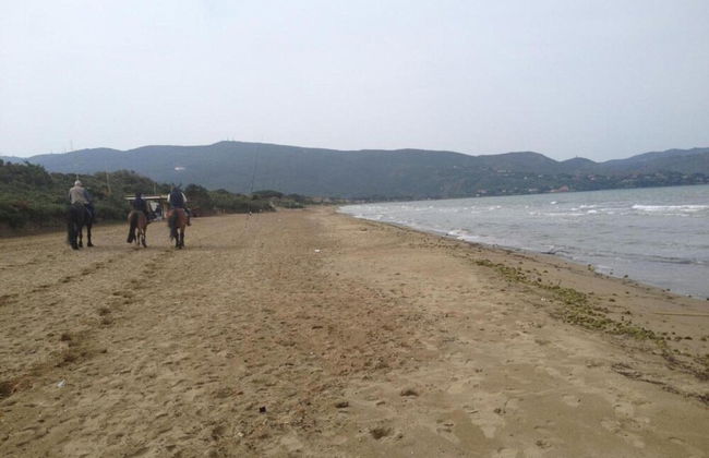 Haven in the Hills of Tavullia - Photo 40