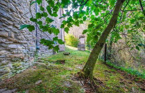 Cafranceschino - Foto 24