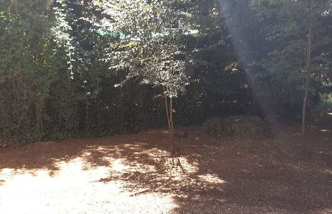 Chalet Ifrane - Foto 27