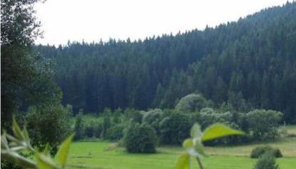 Ferienhaus Schlagintweit - Foto 3