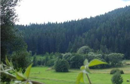 Ferienhaus Schlagintweit - Foto 3