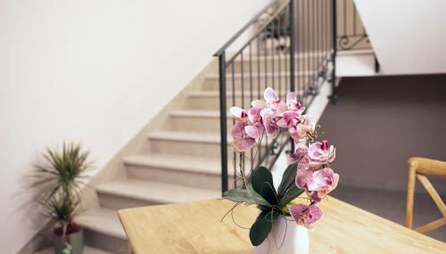 MAZZINI 66 appartamenti - Foto 3