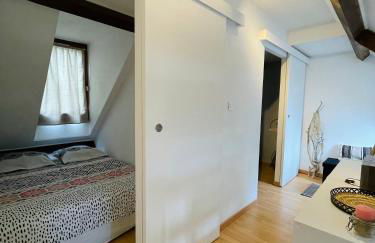 DUPLEX DU PAILHET, T3 neuf, vue montagne, parking, navette, 500m gare et 2 vélos à disposition gratuitement - Foto 10