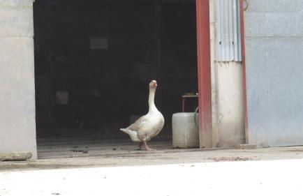 The Hayloft, Wall End Farm - Foto 19