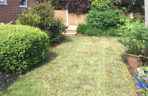 The Briar Rose - Foto 17