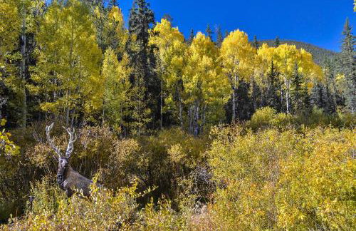 Bison View Cabin at Bison Peak Lodge - Foto 8