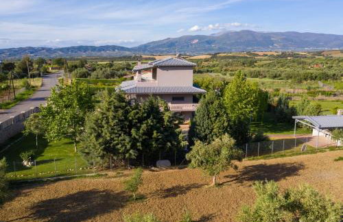 VILLA IN NATURE - Foto 20