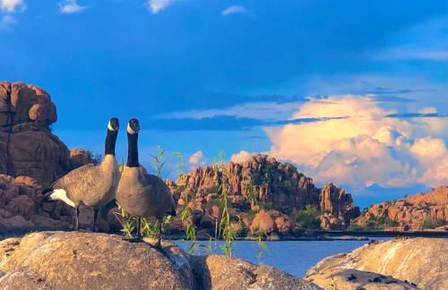 Heaven on Earth Retreat in the Gorgeous Granite Dells Near Prescott, AZ - Foto 75