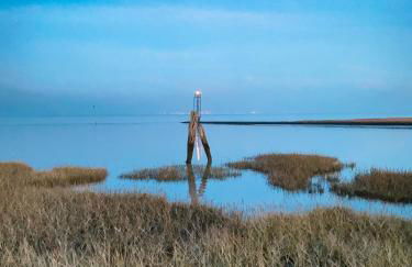 Gut Groß Fedderwarden, Ferienwohnung Mettje - Photo 19