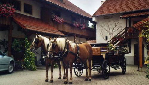 Appartementhaus "Haflinger Hof" - Foto 2