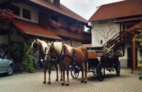 Appartementhaus "Haflinger Hof" - Foto 2
