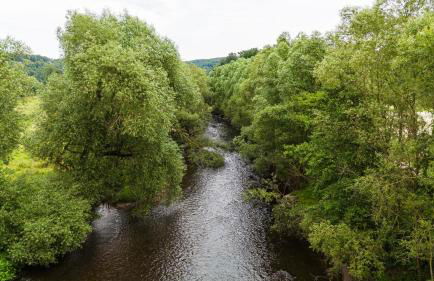 Ferienhof Falkenau - Foto 33