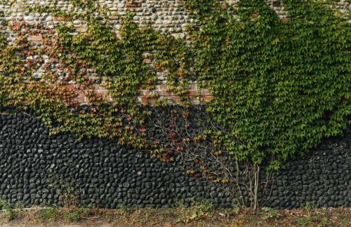 Spinks Nest - a boutique cottage near Holt, North Norfolk - Foto 71