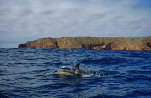 Casa do Portão Azul - Dourada - Foto 36