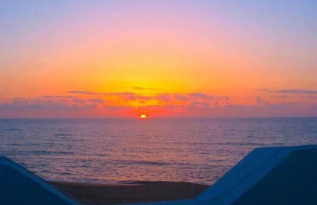 Dar Beldi - Photo 46