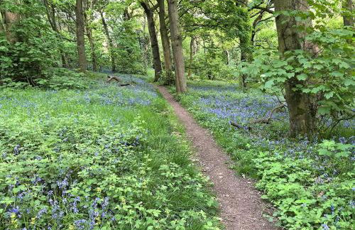 Tawny Owl Barn - Foto 19