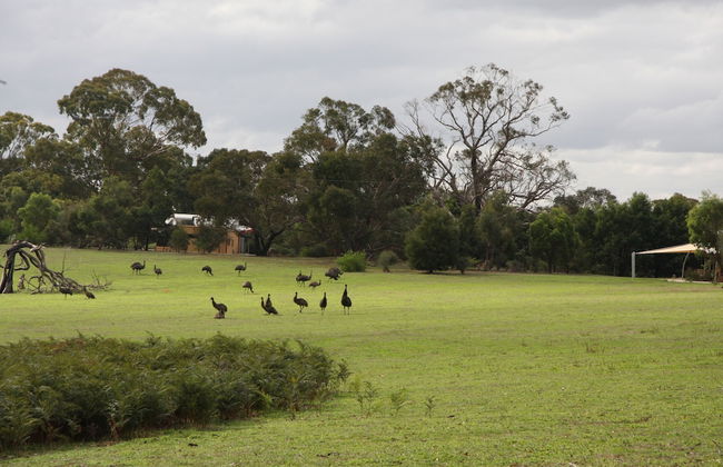 Boroka Downs - Photo 15