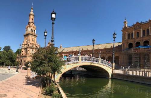 Apartamento Jardin de Santa Paula - Foto 49