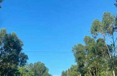 T1 Lagoa Santo André - Foto 16