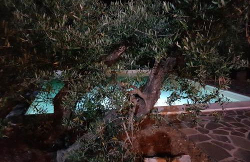 Il Panorama - Foto 34