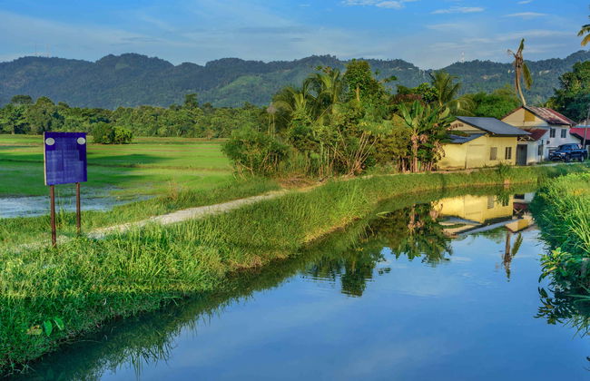Visite à vélo dans Penang - Photo 1