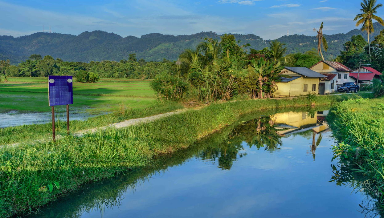 Visite à vélo dans Penang