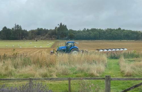 The Cabins at Redroofs - Photo 17