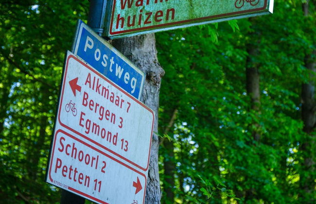 House in Schoorl Near Dunes and Beach - Photo 28