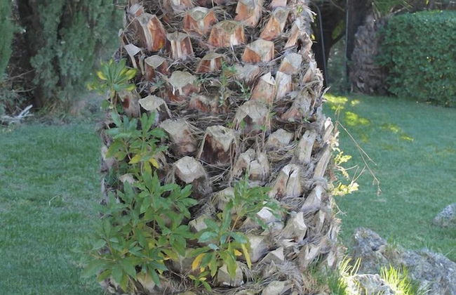 Arrábida Heritage - Photo 31