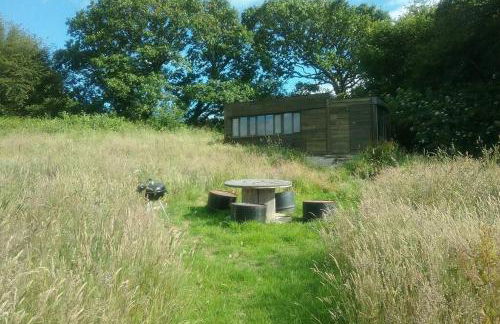 Stags View,Unique eco cabin, Dartmoor views - Foto 1