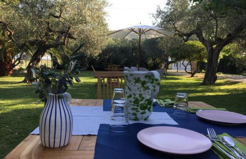 Az. Agr. Parco dei Buoi - Foto 29