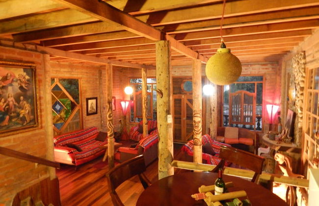 Dogs and Fish Dream Land - Foto 16