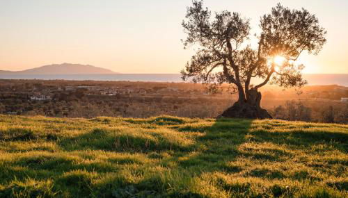 Agriturismo Podere L'Agave - Foto 2