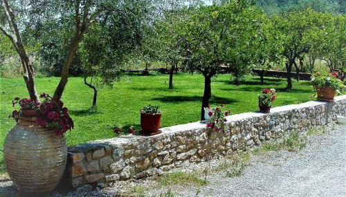 Manto Studios - Foto 4, Garden