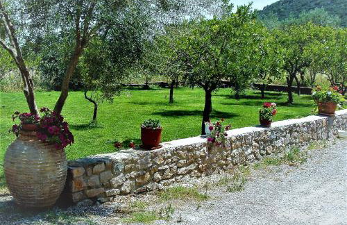 Manto Studios - Photo 4