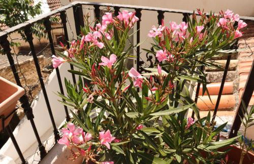 Vista Terraza Illora - Foto 10