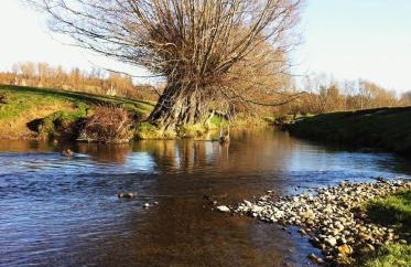 Whitchurch Farm Guesthouse - Foto 34