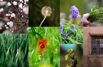 Cal Barceló - Foto 26