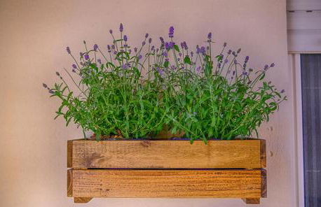 MYRICAE Marzamemi Ospitalità Siciliana - Foto 23