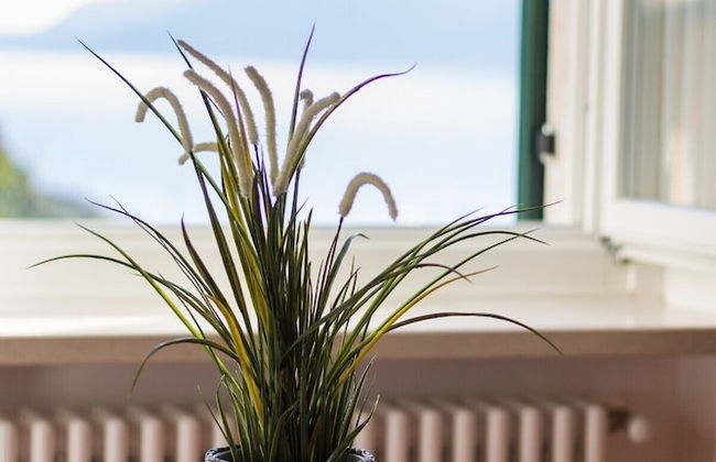 Villa Borgo Borago - Photo 13