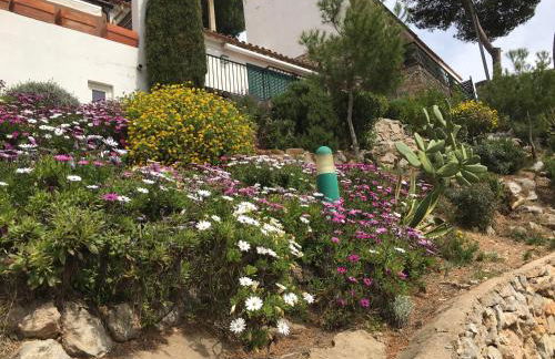 Apartamento Islas Medas WIFI y PARKING GRATIS - Foto 53