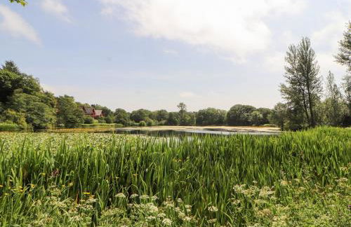 Thistle Dubh "Doo" - Foto 35