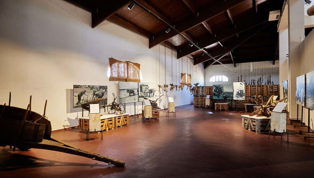 Aprendendo a história do vinho