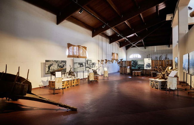 Visita a las bodegas Fariña - Foto 5