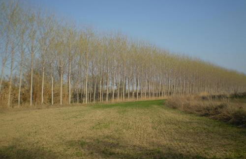 Hospital del Temple Casa Rural - Foto 54