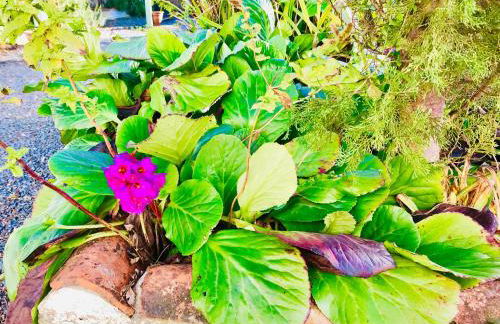 La Blatière French Cottages - Foto 72