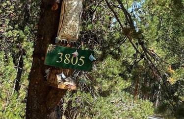 Grandma's Home in the Woods. Yellowstone - Foto 26