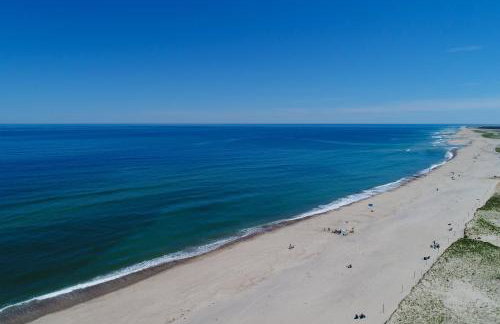 Nauset Beach Buddy - Photo 26
